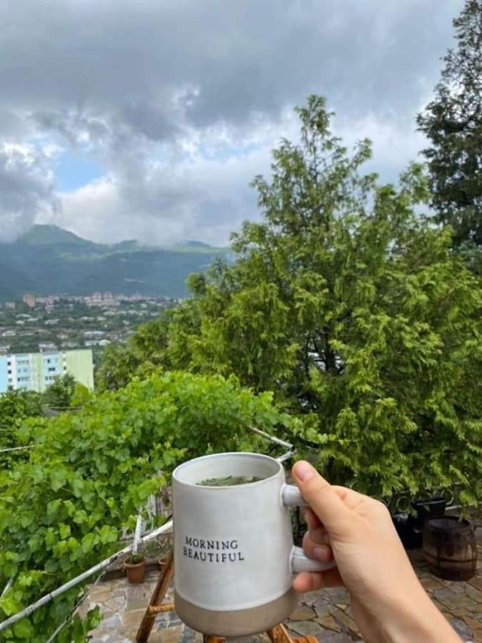 Elegaya Guest House Ijevan Εξωτερικό φωτογραφία