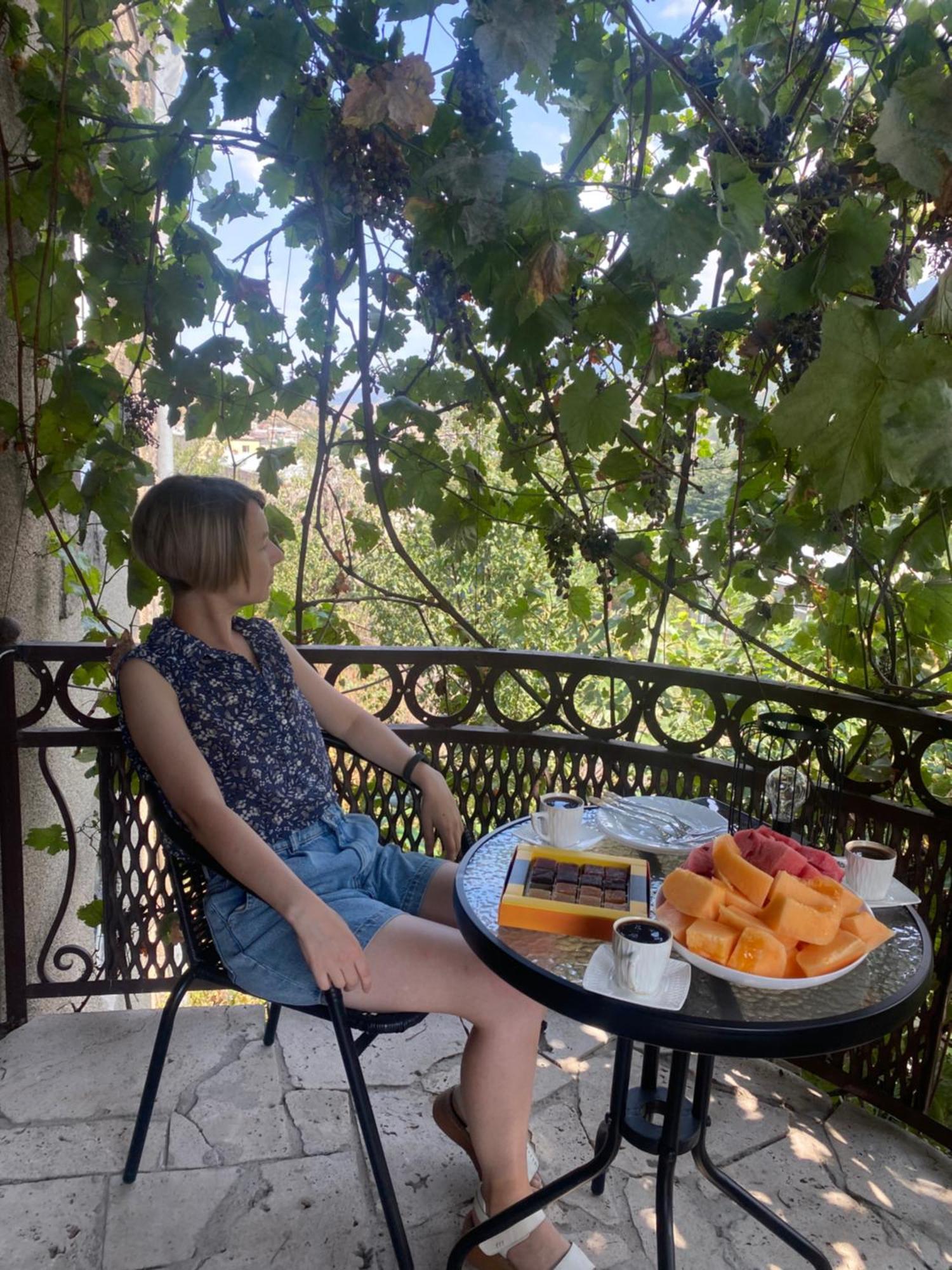Elegaya Guest House Ijevan Εξωτερικό φωτογραφία